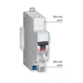 Disjoncteur 15 ampères courbe D