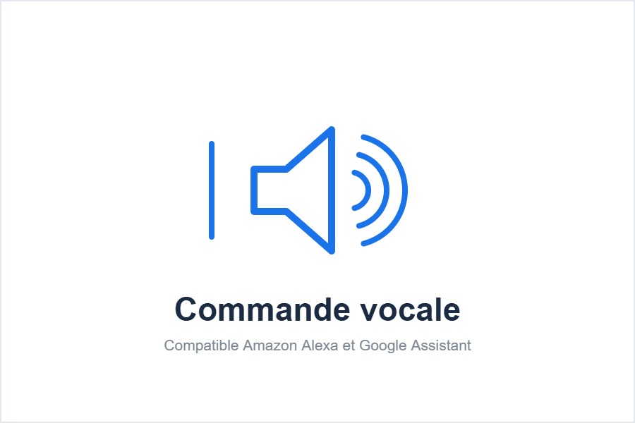 Commande vocale Alexa et Google Assistant