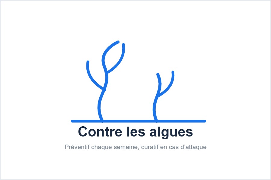 Les phosphates nourrissent le développement des algues
