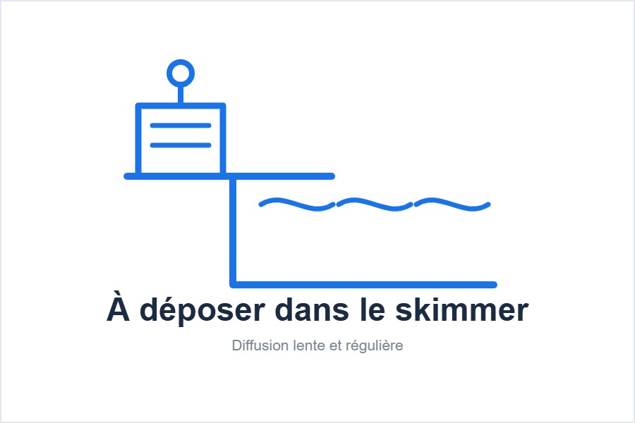 Un galet déposé dans le panier de skimmer