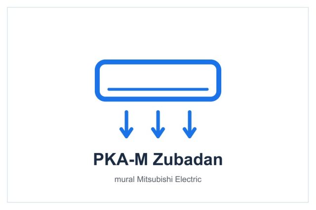 PKA-M Zubadan