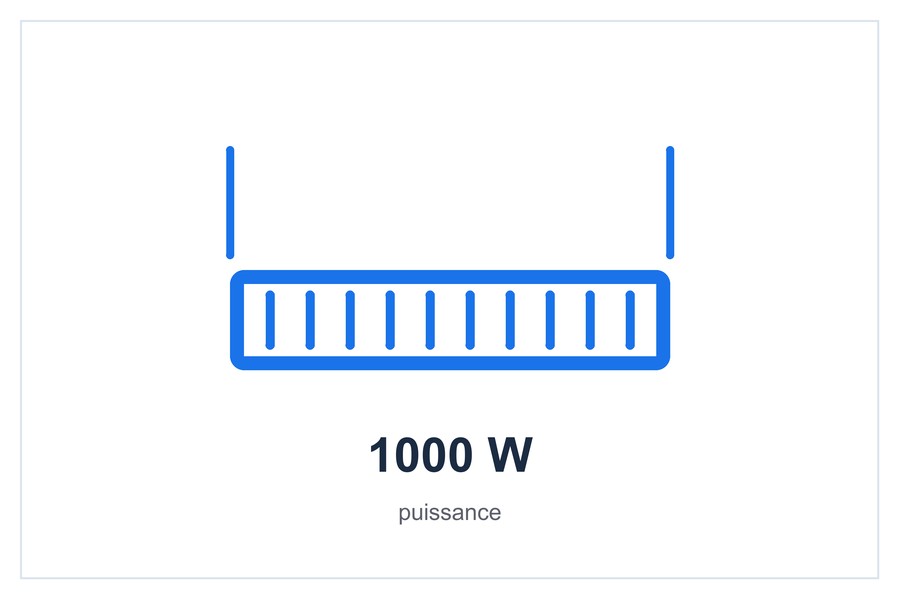 1000 W puissance