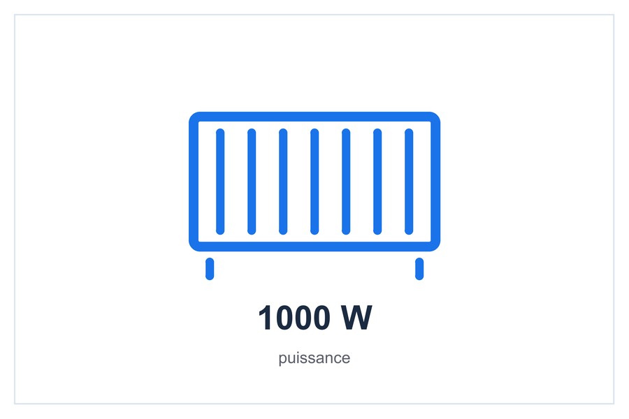 1000 W puissance