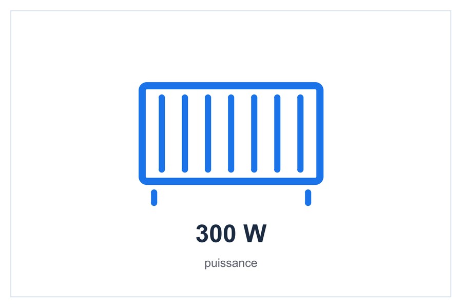 300 W puissance