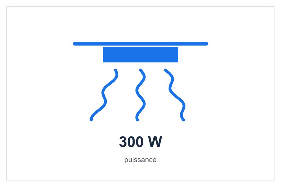 300 W puissance
