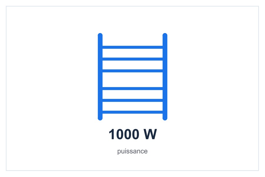 1000 W puissance