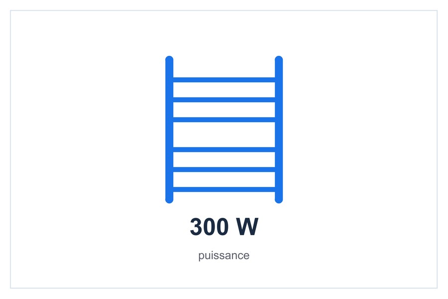 300 W puissance