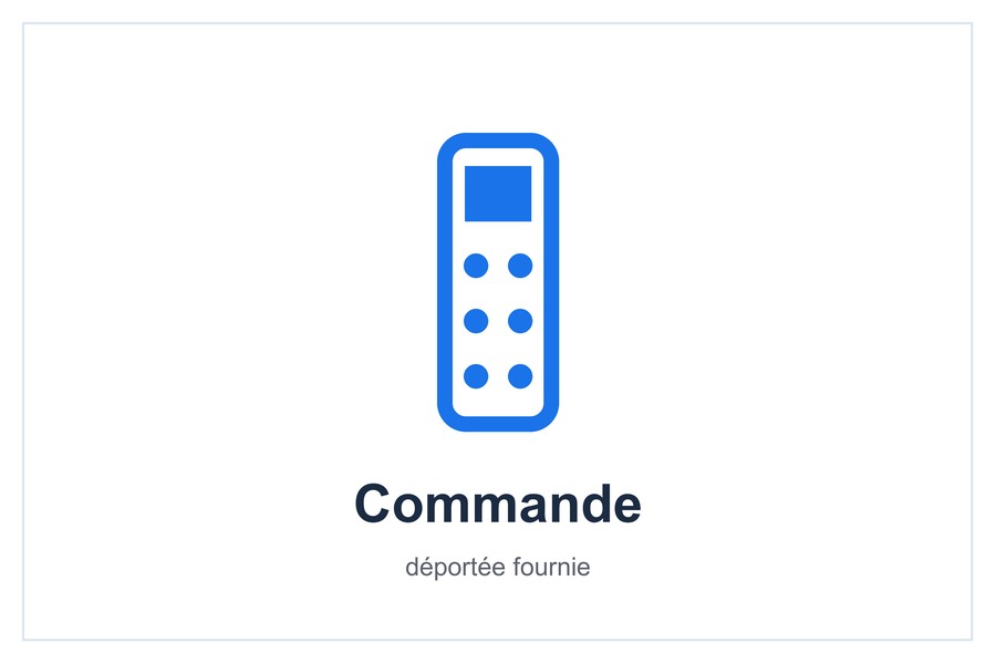Commande déportée fournie